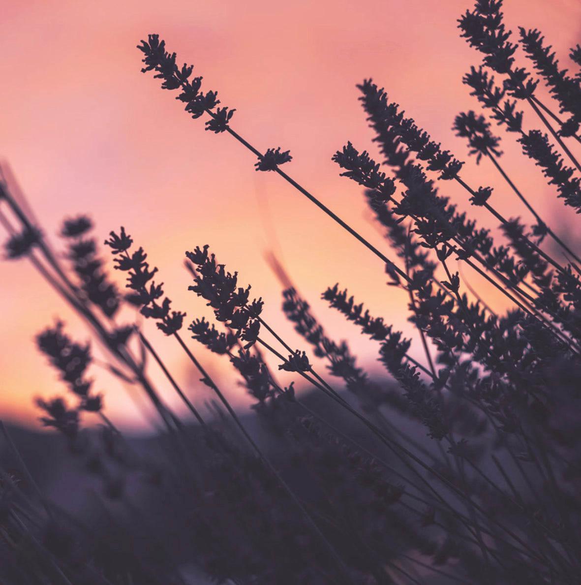 Modern Minimalist 400ml Pale Blue