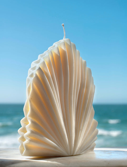 Molded 'Coral Seashell'